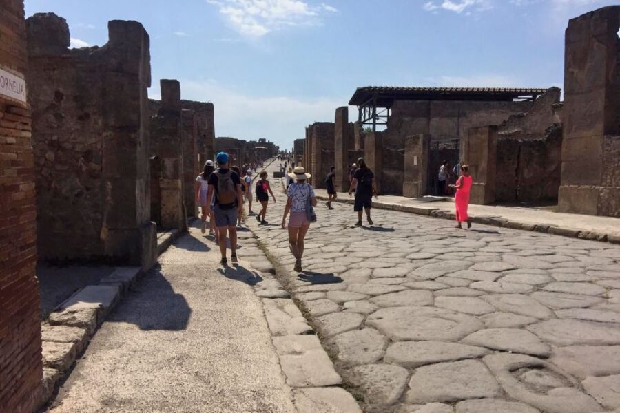 Pompeii: Guided Walking Tour with Entrance Ticket - Meeting Point and Logistics