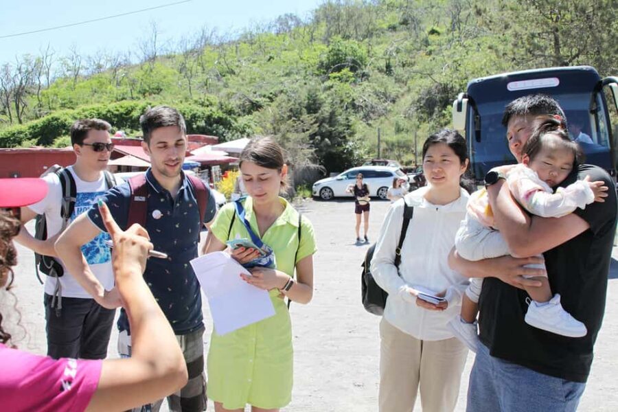 Pompeii: Mount Vesuvius Bus Transfer with Audioguide - Value for Money and Practical Tips