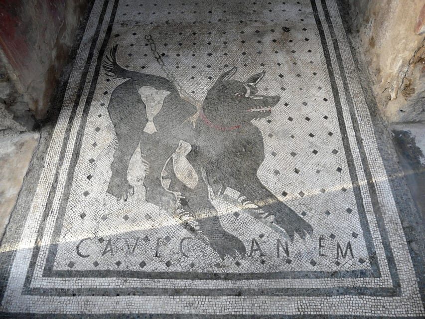 Pompeii: Skip-the-Line Entry & Audioguide - Practical Tips for Visitors