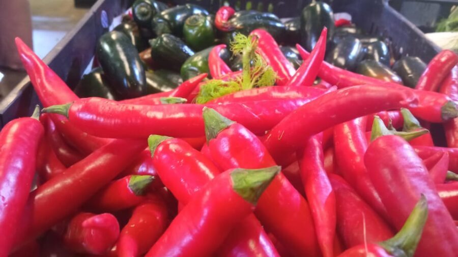 Ponta Delgada: Fat Dolphin Food Tours - Why This Tour Stands Out