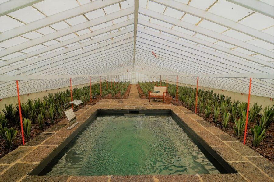 Ponta Delgada: Greenhouse Hot Tube with Pineapple Tour - Who Should Consider This Tour?