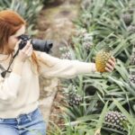 Ponta Delgada: Pineapple wine tasting and pineapple tour - Who Will Love This Tour?