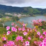 Ponta Delgada: Private Tour Sete Cidades Green e Blue Lakes - Practical Details and Why They Matter