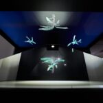 Ponta Do Sol : Madeira Banana Museum guided tour - Practical Details & Tips