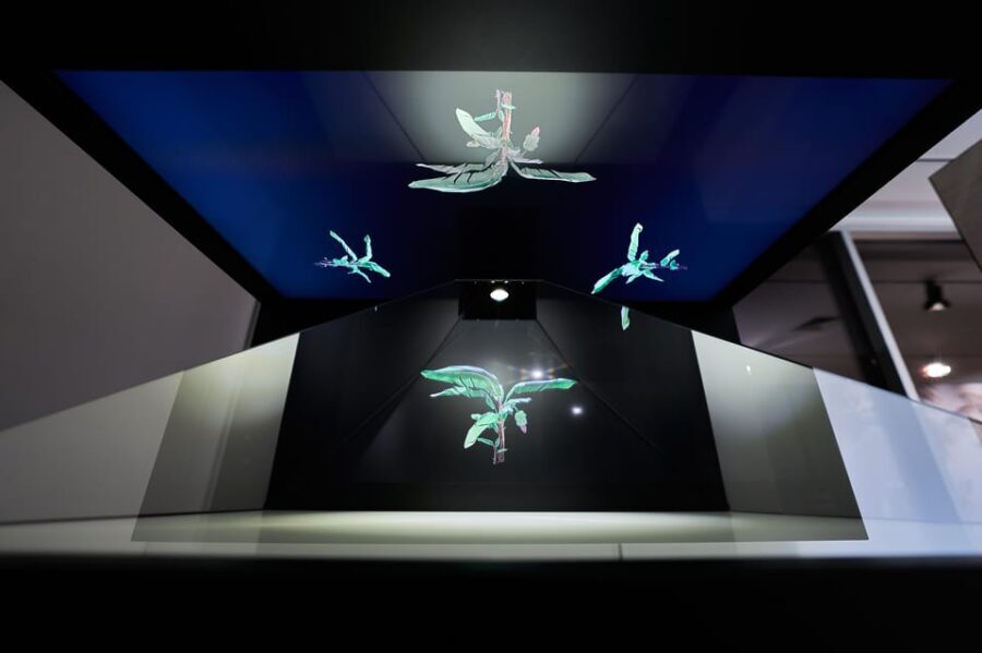 Ponta Do Sol : Madeira Banana Museum guided tour - Practical Details & Tips