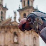 Pontevedra: A Bridge to the Past - A Private Tour - Practical Details and Value