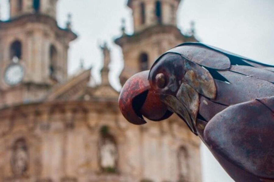 Pontevedra: A Bridge to the Past - A Private Tour - Practical Details and Value