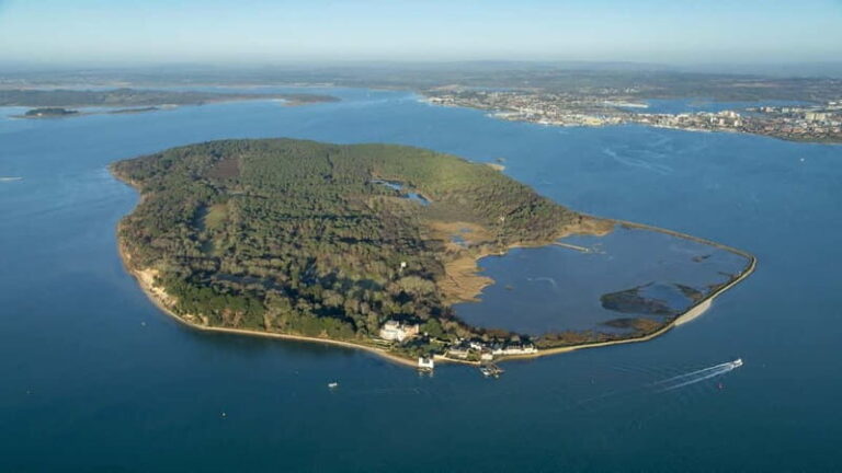 Poole: Harbour and Islands Circular Cruise - Why This Cruise Is Worth Considering