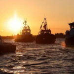 Poole: Harbour Lights Cruise - Who Is This Cruise Best For?