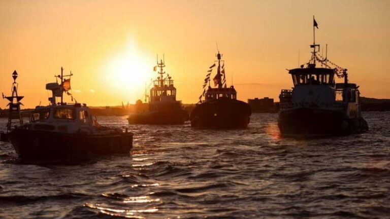 Poole: Harbour Lights Cruise - Who Is This Cruise Best For?