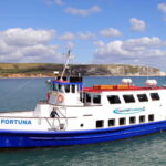 Poole: Jurassic Coast Circular Cruise - The Itinerary and Experience