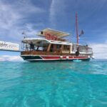 Pore: Evening Boat Trip to Discover Dolphins - Who Will Love This Trip?