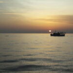 Pore: Sunset Dolphin Safari Cruise with Drinks - The Scenic Highlights: From Lagoon to Open Sea