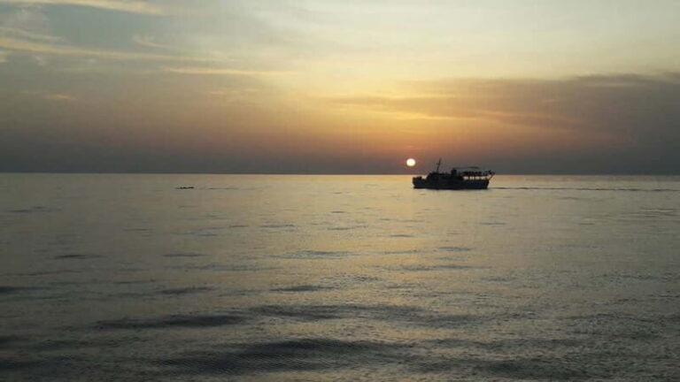 Pore: Sunset Dolphin Safari Cruise with Drinks - The Scenic Highlights: From Lagoon to Open Sea