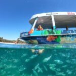 Port Bunarina: Private Boat Trip with Optional Lunch - The Itinerary in Detail