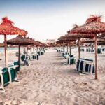 Port d'Alcudia: Meet the Magical Creatures,family game &walk - What to Expect from the Itinerary