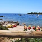 Porticcio: Guiding Kayaking Tour - Who Will Love This Tour?