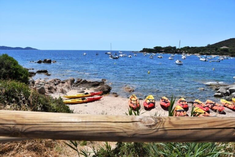 Porticcio: Guiding Kayaking Tour - Who Will Love This Tour?