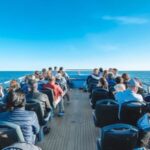 Portimão: Benagil Caves & Dolphins Watching with Biologist - Real Traveler Insights & Tips