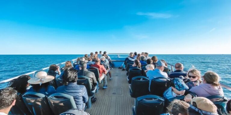 Portimão: Benagil Caves & Dolphins Watching with Biologist - Real Traveler Insights & Tips