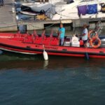 Portimão: Dophin Watching on the Algarve Coast - Final Thoughts