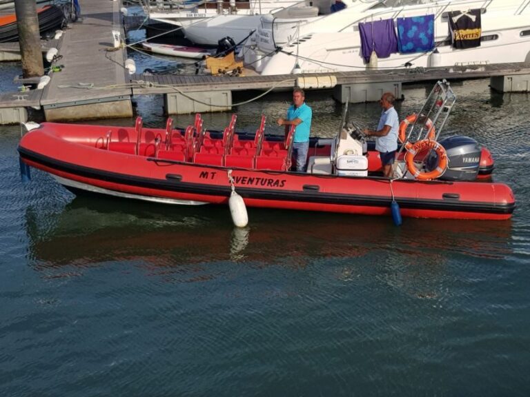 Portimão: Dophin Watching on the Algarve Coast - Final Thoughts