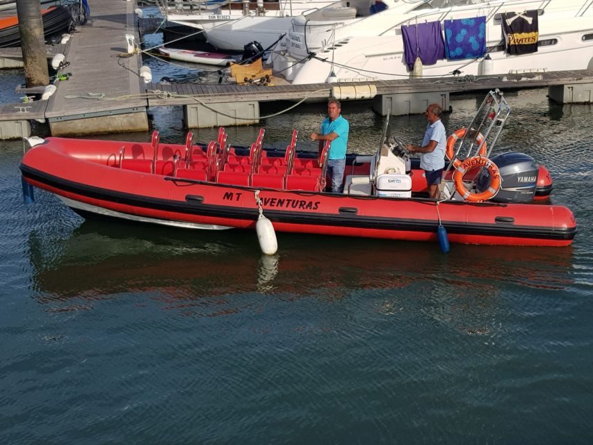 Portimão: Dophin Watching on the Algarve Coast - Final Thoughts