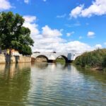 Portimão: Silves & Arade River History Tour on a Solar Boat - The Value of This Tour