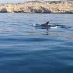 Portimão: Sunrise Private Tour - The Practical Details: Price, Duration, and Whats Included