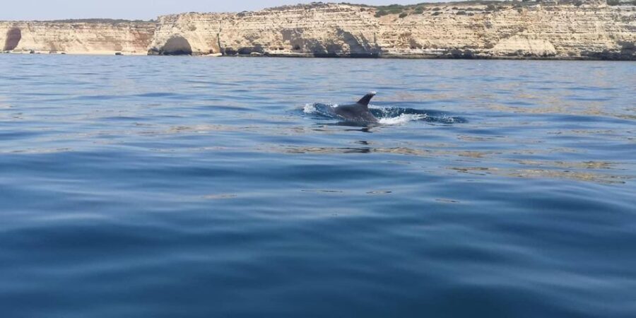 Portimão: Sunrise Private Tour - The Practical Details: Price, Duration, and Whats Included