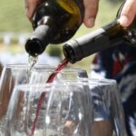 Porto: 3 Wine Regions & Farm Lunch with Views Small-Group - A Closer Look at the Itinerary