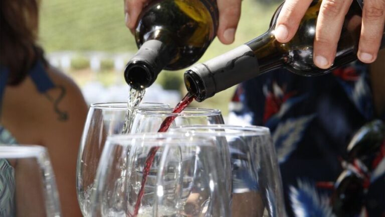 Porto: 3 Wine Regions & Farm Lunch with Views Small-Group - A Closer Look at the Itinerary