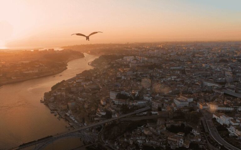 Porto: 5D Flight over de City for all family. - Is It Worth the Price?