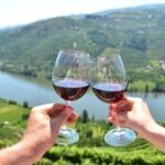 Porto City Full-Day Tour with Wine Tasting - The Itinerary in Detail