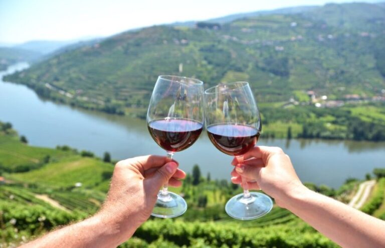 Porto City Full-Day Tour with Wine Tasting - The Itinerary in Detail