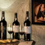 Porto: Cockburns Port Lodge Tour and Tasting - Who Should Consider This Tour?