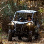 Porto: Dirt and Dust Tour by Oporto Buggy - The Driving Experience