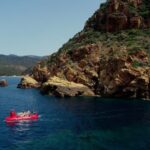 Porto : Discovery of the marine fauna and flora/Bay of Porto - The Itinerary Breakdown