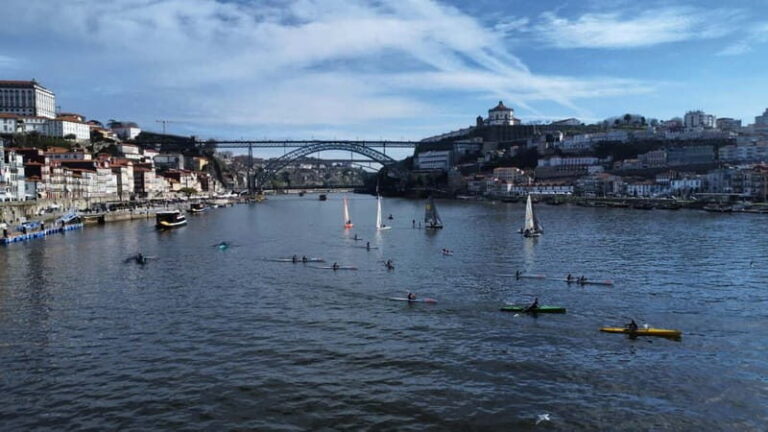 Porto: Douro River Kayak or Standup Paddleboard Tour - Key Points