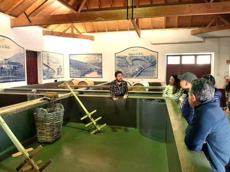 Porto: Douro Valley, 2 Wineries, Lunch & Private Boat Trip - Value for Money and Overall Impression