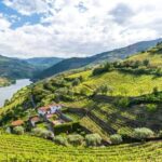 Porto: Douro Valley 2 Wineries, Tastings, Lunch & Boat Tour - Analyzing the Value