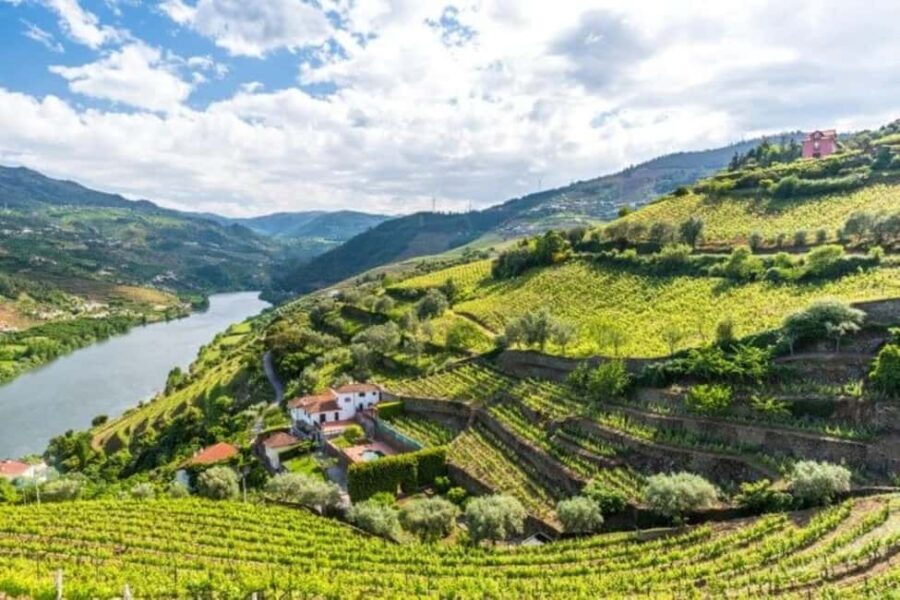 Porto: Douro Valley 2 Wineries, Tastings, Lunch & Boat Tour - Analyzing the Value