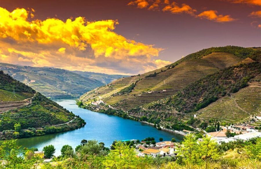 Porto: Douro Valley Private Full-Day Tour - Exploring the Douro Valley: An In-Depth Look