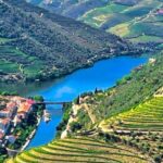 Porto: Douro Valley Private Tour 2 Vineyards & River Cruise - Why This Tour Offers Great Value