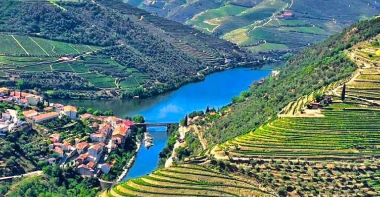 Porto: Douro Valley Private Tour 2 Vineyards & River Cruise - Why This Tour Offers Great Value