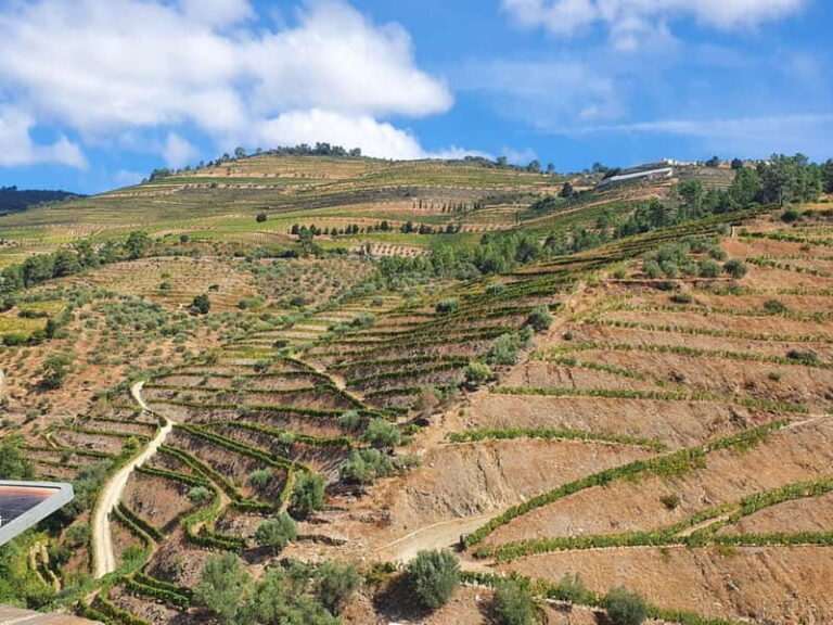 Porto: Douro Valley Private Tour with Winery Visit & Lunch - Practical Details and Value