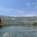 Porto: Douro Valley Tour w/ 3 Tastings, Lunch, & Opt. Cruise - Exploring Pinhão Station and Scenic Highlights