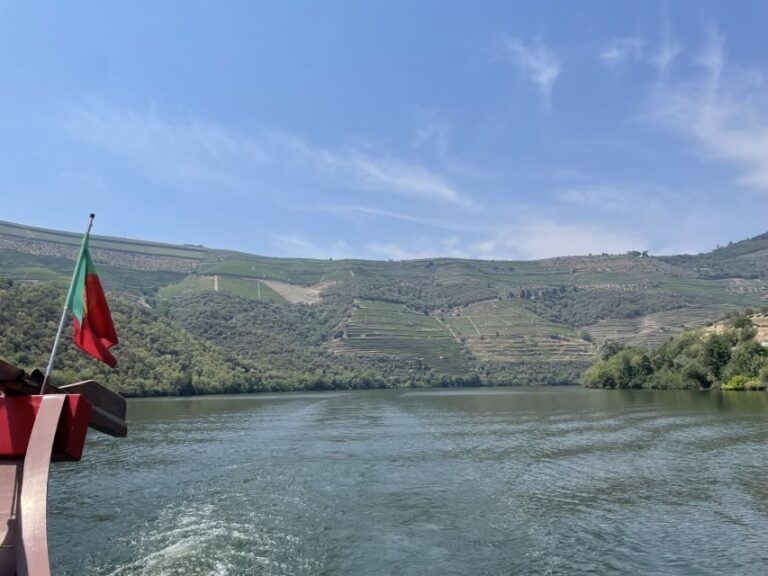 Porto: Douro Valley Tour w/ 3 Tastings, Lunch, & Opt. Cruise - Exploring Pinhão Station and Scenic Highlights