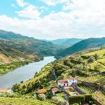 Porto: Douro Valley Tour with Wine Tasting, Cruise and Lunch - Practical Details: What You Need to Know