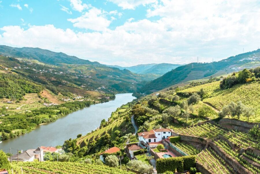Porto: Douro Valley Tour with Wine Tasting, Cruise and Lunch - Practical Details: What You Need to Know